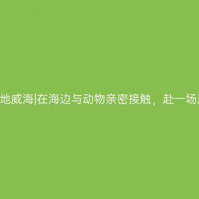 25℃盛夏避暑地威海|在海边与动物亲密接触，赴一场风花雪月之约